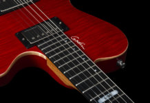 Godin Guitars Daryl Stumer DS-1特征