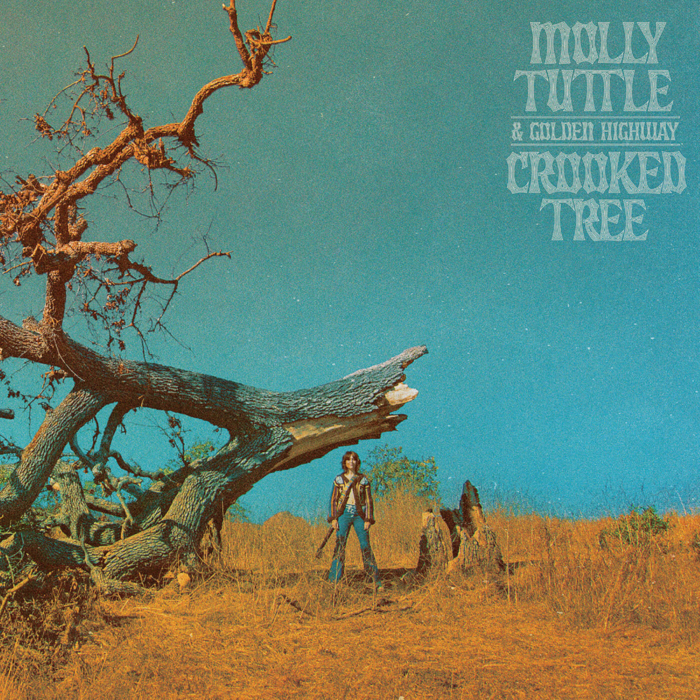 莫莉·塔特尔- Crooked Tree
